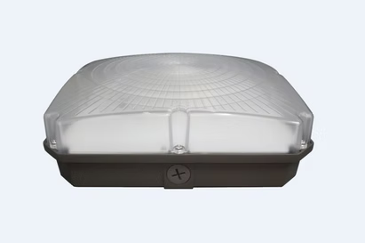 LED Canopy Light